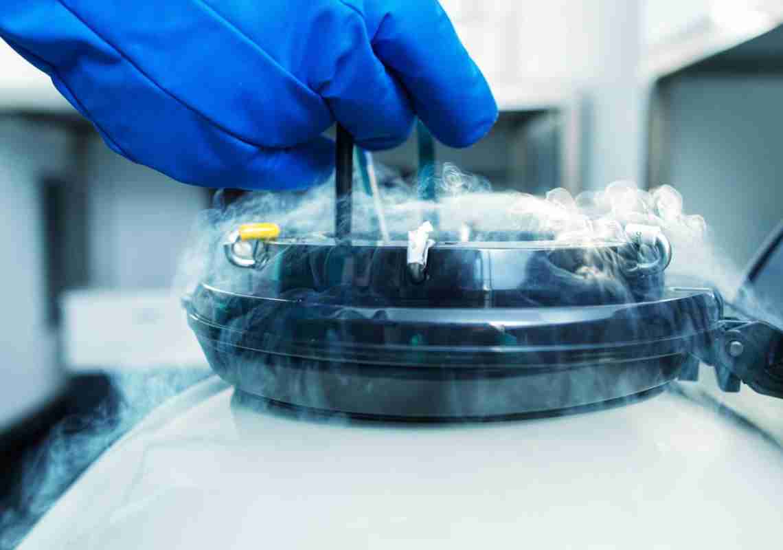 Maternidade no seu tempo: congelamento de óvulos proporciona adiar o sonho da maternidade com mais segurança